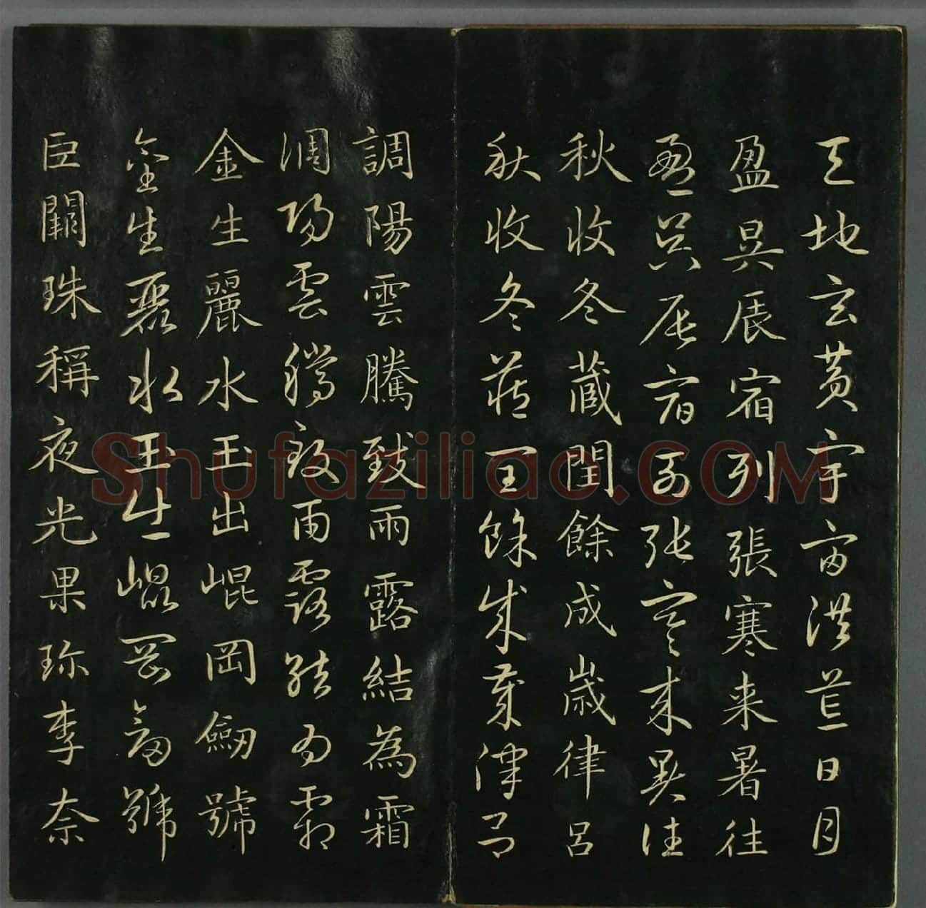 赵孟頫《真草千字文》 (2)