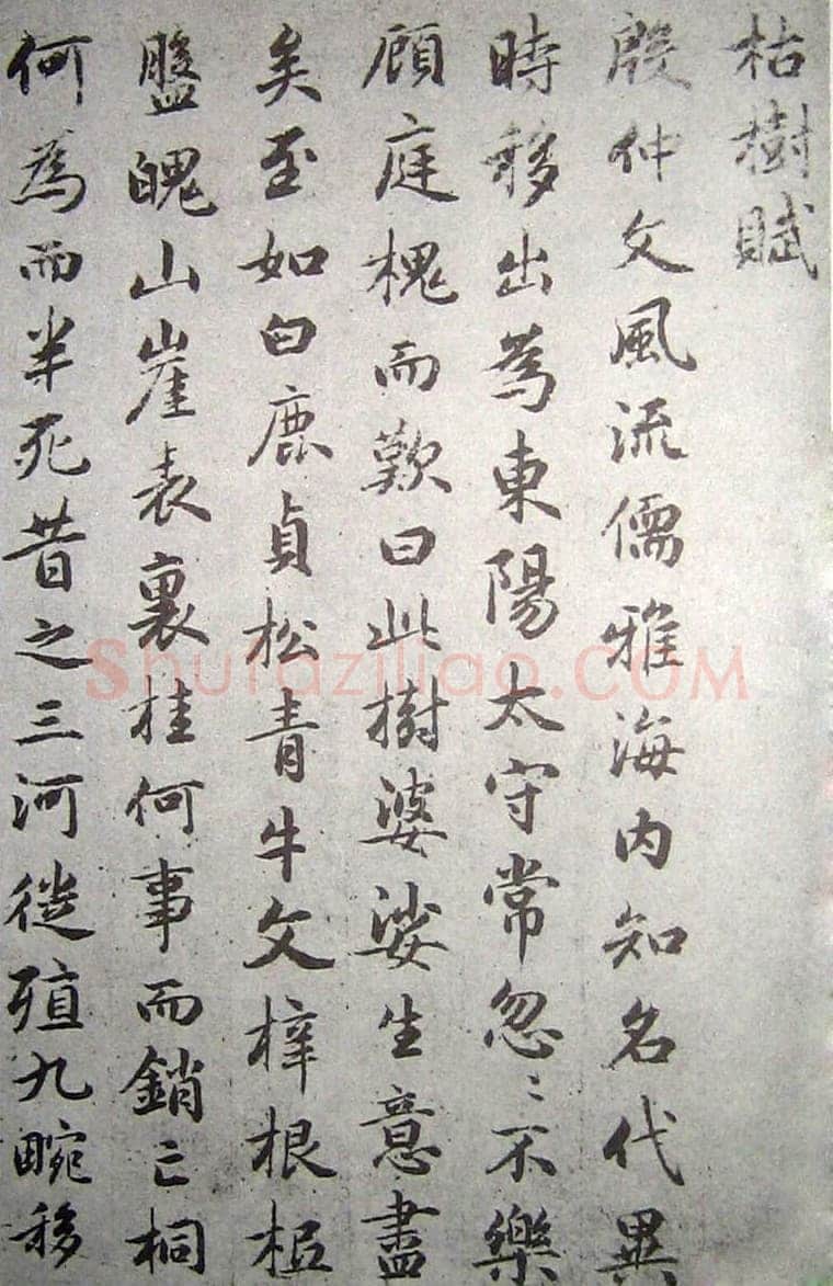 赵孟頫《临褚遂良枯树赋》纸本 行书 资料不详
