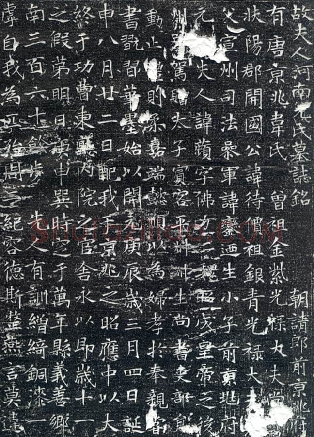 韦应物《元苹墓志》