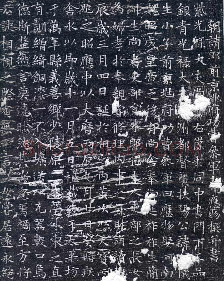 韦应物《元苹墓志》