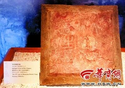 韦应物《元苹墓志》
