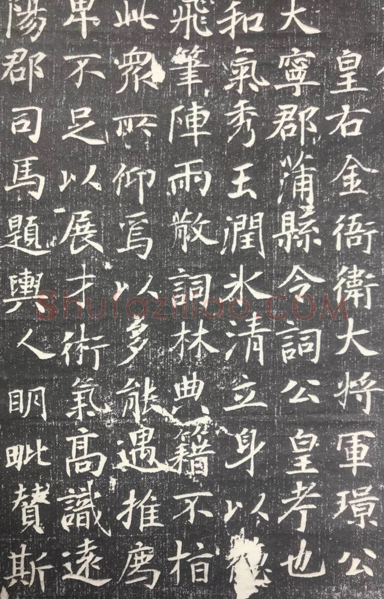 邬肜《侯知什墓志》