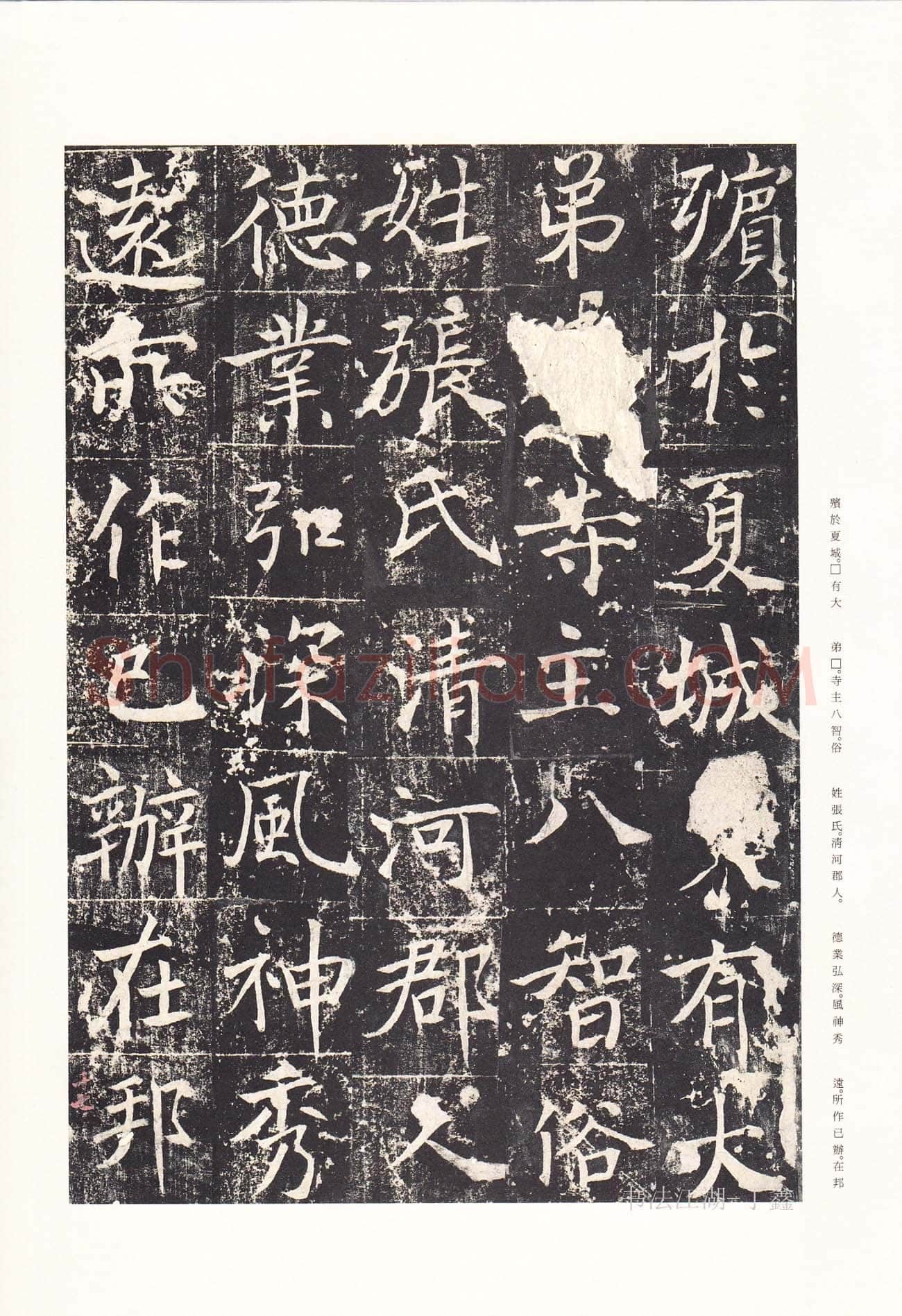 魏栖梧《善才寺碑》