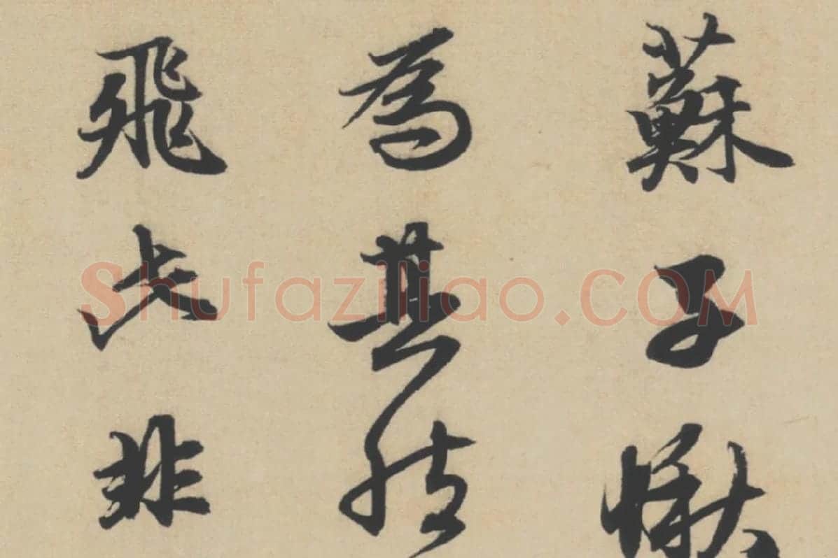 赵孟頫行书《前赤壁赋》局部细节 (4)