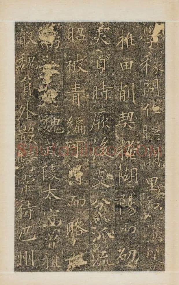 樊兴碑此碑又名《樊府君碑》,摘自唐朝樊兴碑