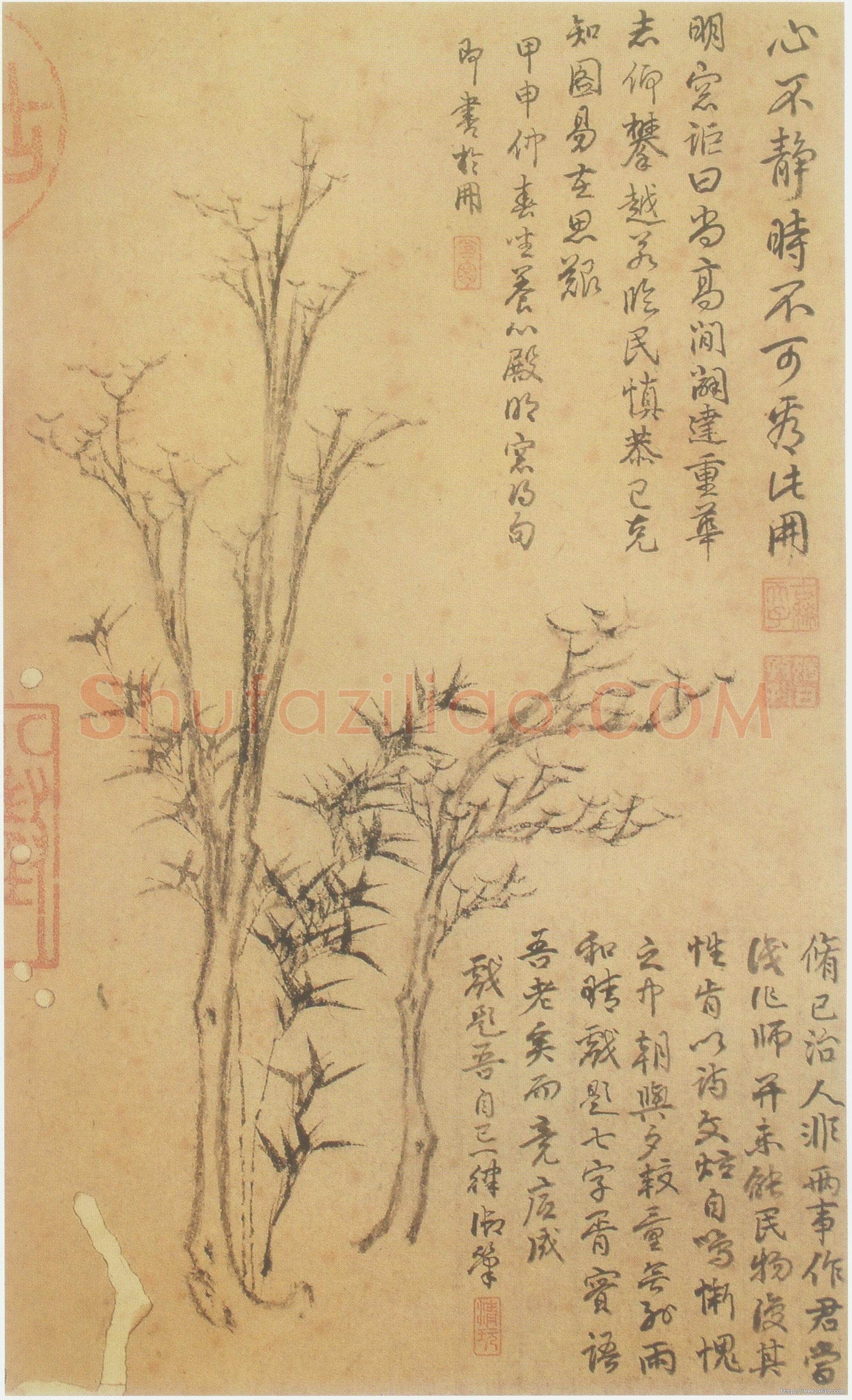 倪瓒云林画谱册