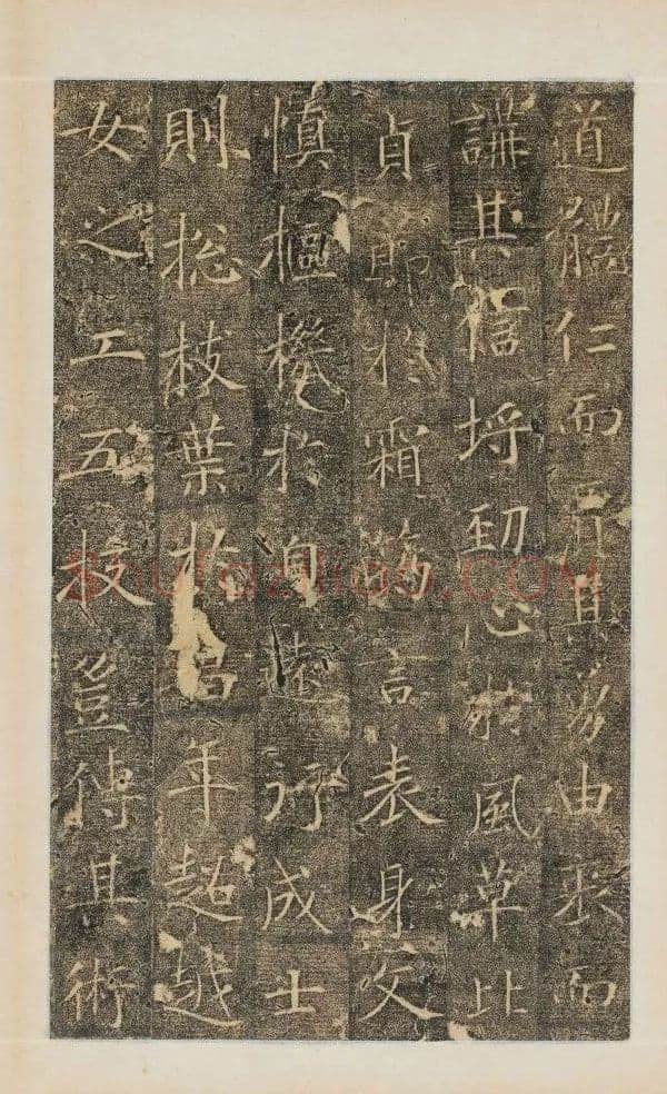 樊兴碑此碑又名《樊府君碑》,摘自唐朝樊兴碑