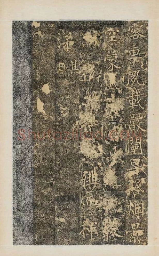 樊兴碑此碑又名《樊府君碑》,摘自唐朝樊兴碑