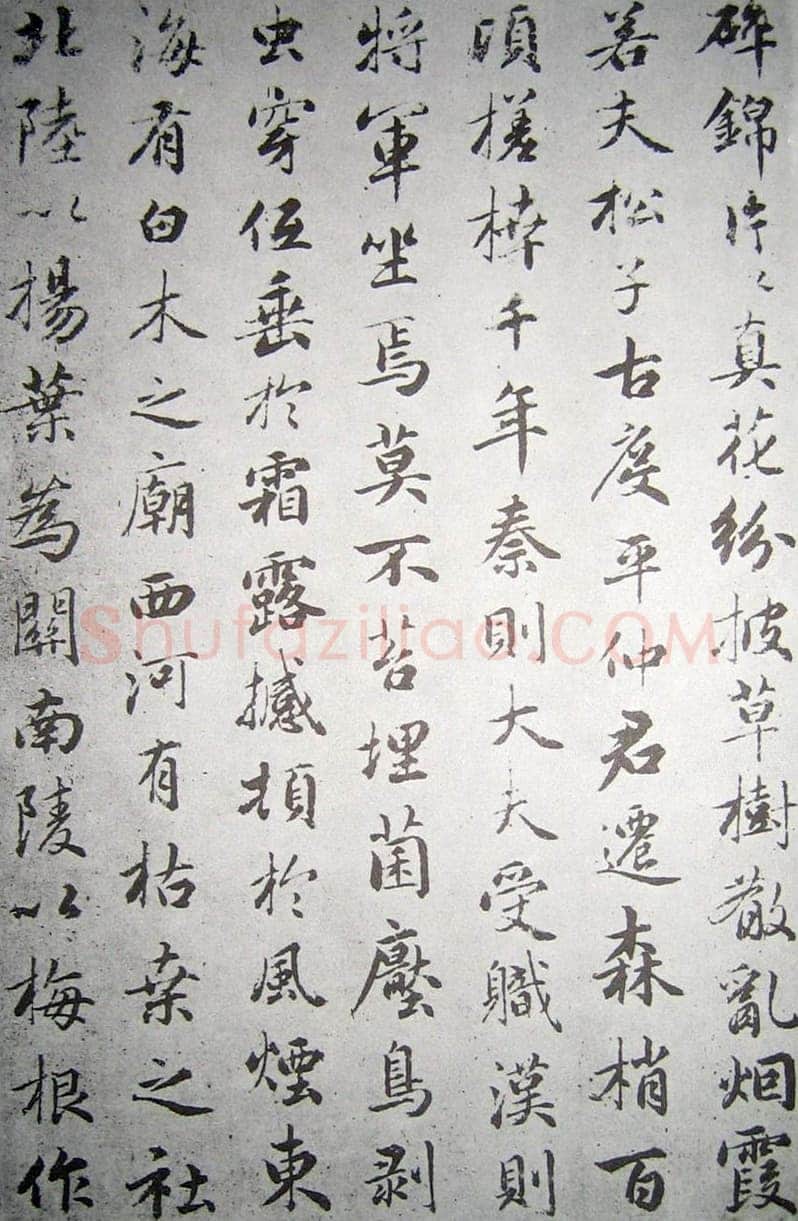 赵孟頫《临褚遂良枯树赋》纸本 行书 资料不详