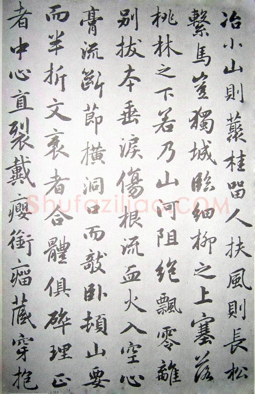 赵孟頫《临褚遂良枯树赋》纸本 行书 资料不详
