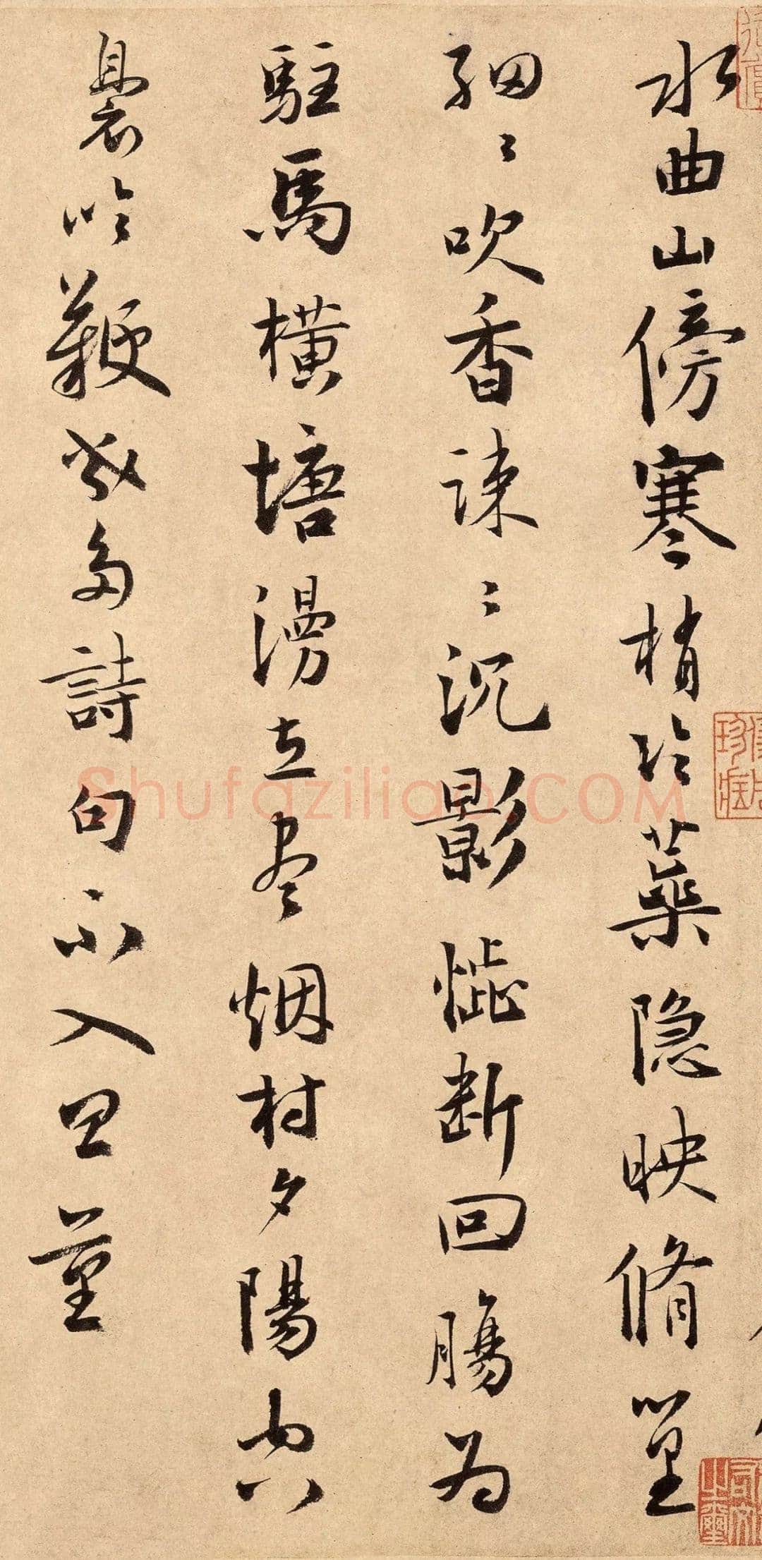 扬无咎《四梅花图卷、行书跋雪梅图卷》