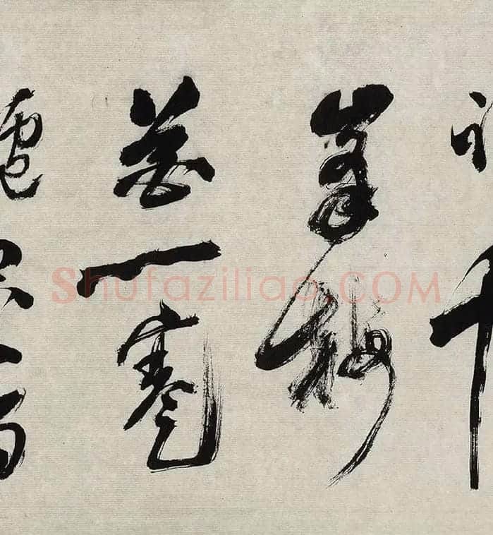 翁方纲行草书《徐渭杂花图卷题跋》_05