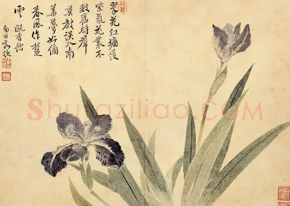 清代恽寿平书法字画花卉八开 | 传世书法作品赏析