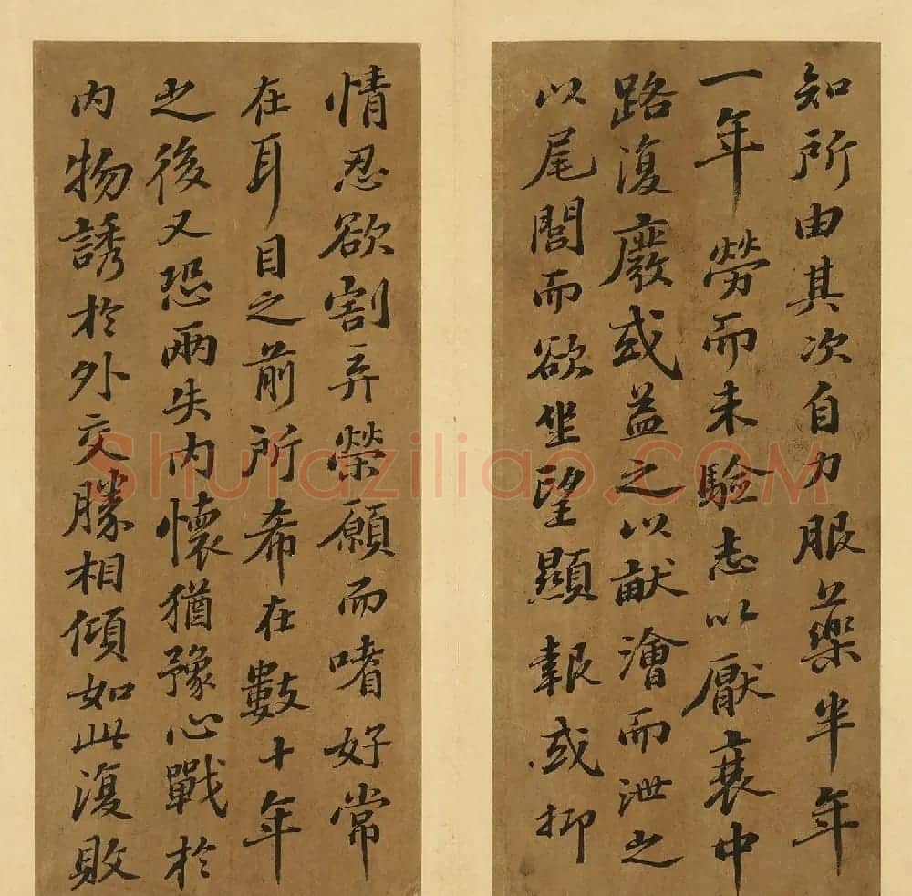 苏轼行书养生论真迹册 | 软笔书法作品