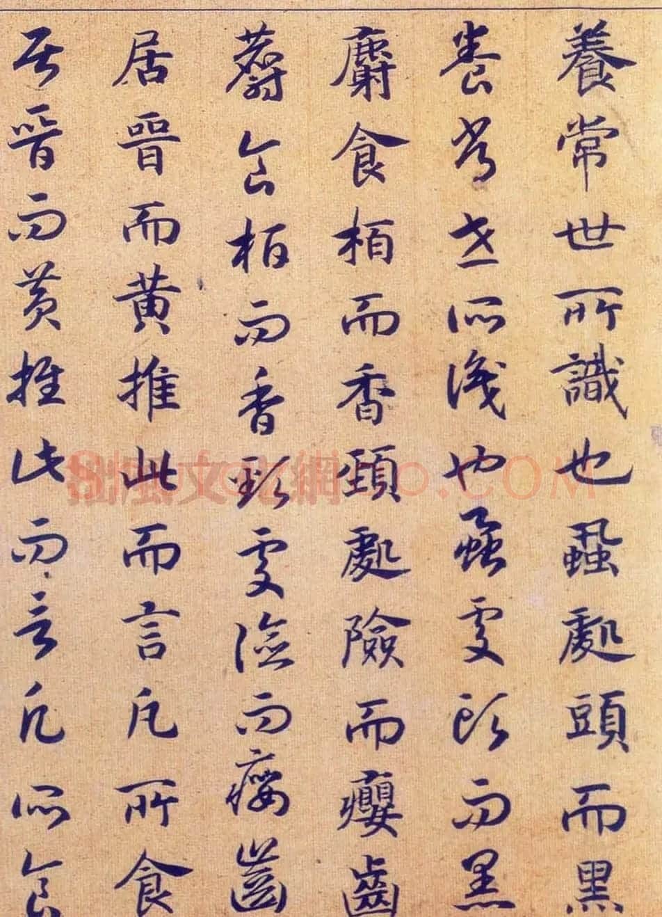 宋高宗赵构真草书法欣赏《嵇康养生论卷》 | 书法长卷