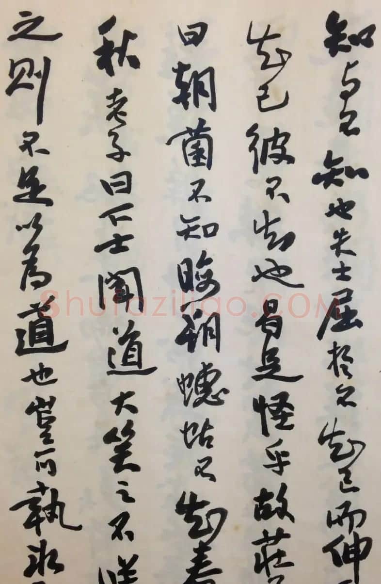 费新我书法册页欣赏《书谱》 | 书法作品欣赏