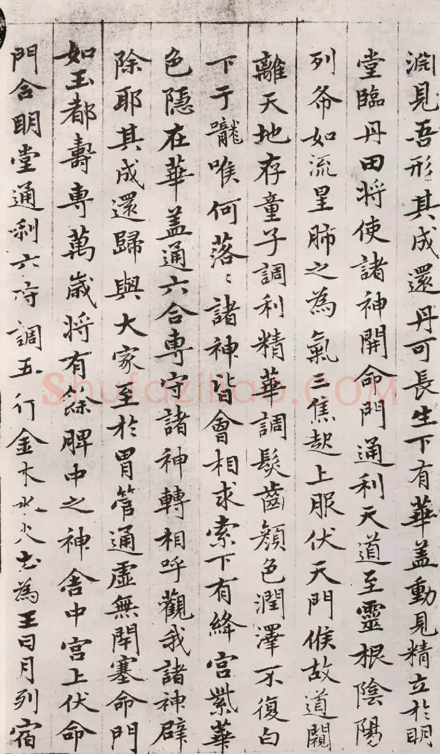 元赵孟頫摹黄庭经并写羲之换鹅图册 | 名家书法作品精选