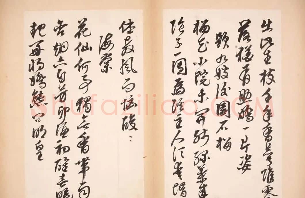 明代女书画家邢慈静草书欣赏 | 名家书法作品赏析