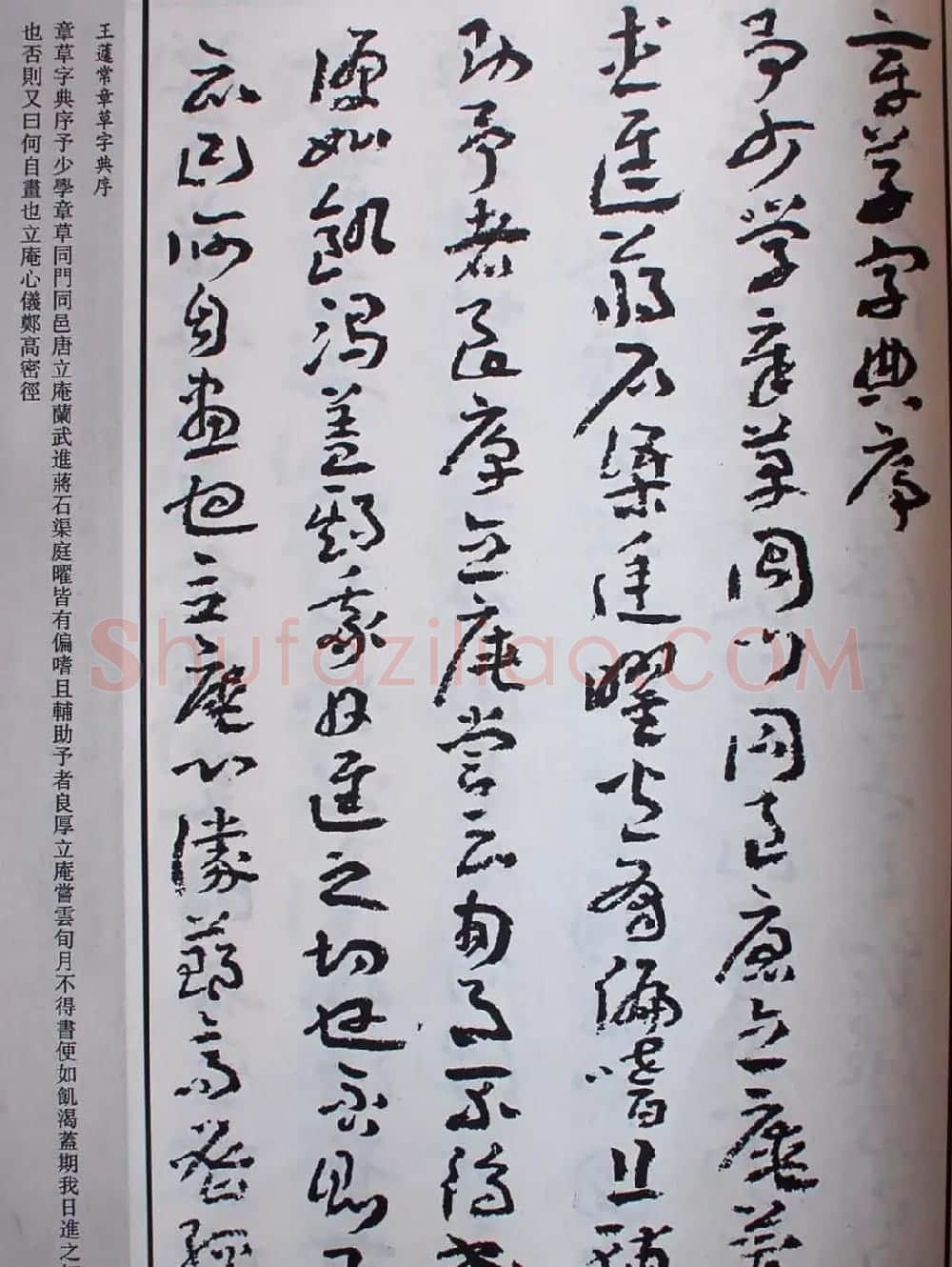 王蘧常草书欣赏《章草字典序》 | 软笔书法作品