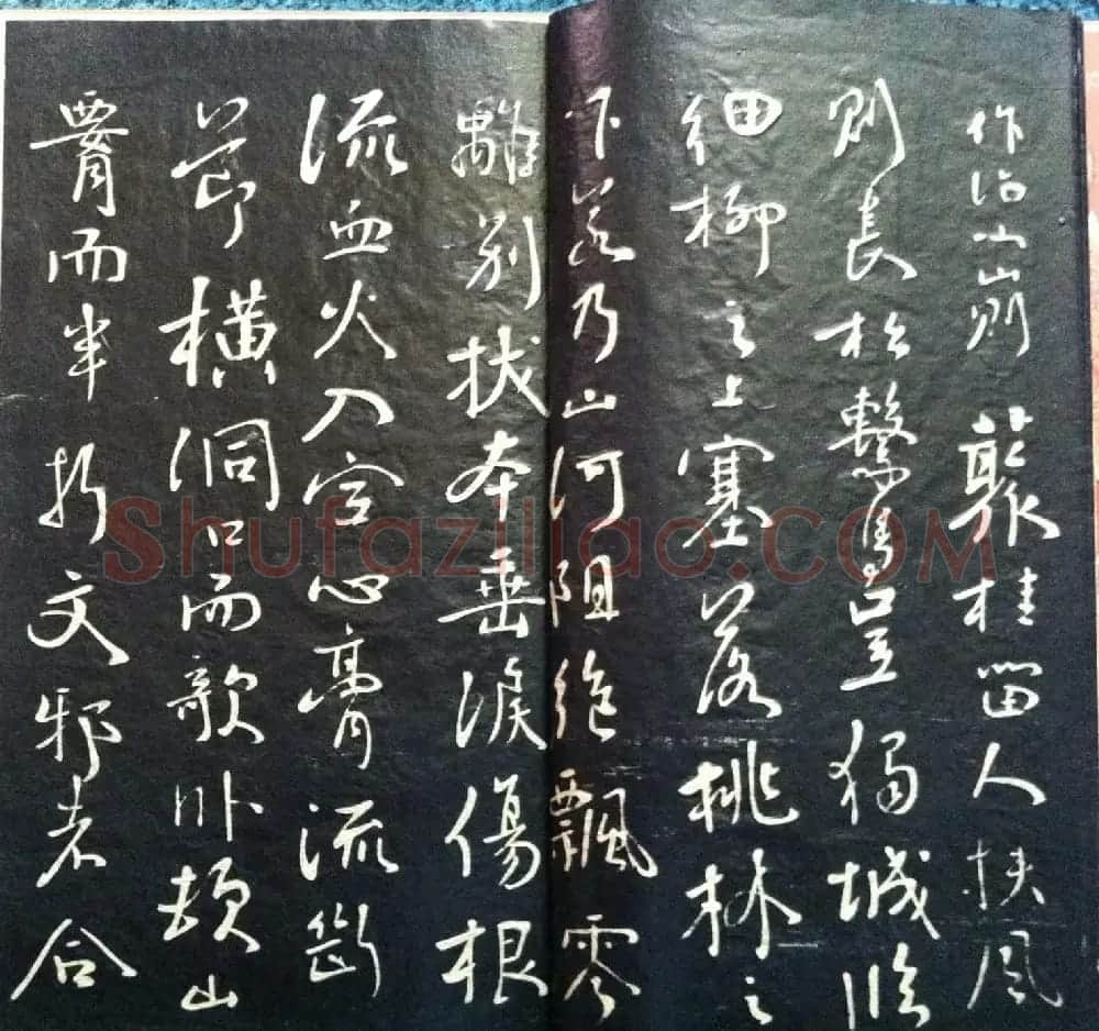 兰新家传书法碑帖分享《钱南园枯树赋》 | 毛笔书法作品