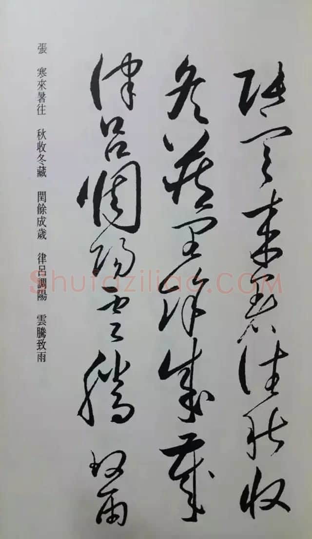 罕见的怀素草书《千字文》净云枝藏帖 | 软笔草书字帖