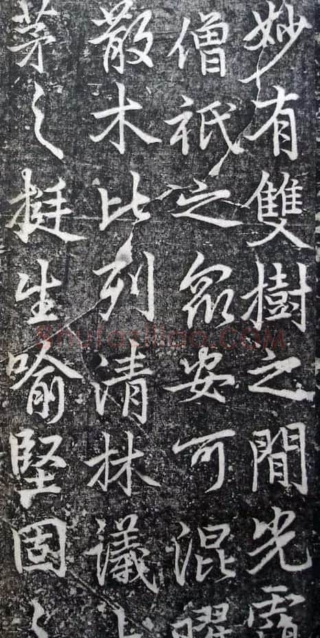 李北海李邕行书欣赏《娑罗树碑记》 | 书法碑帖
