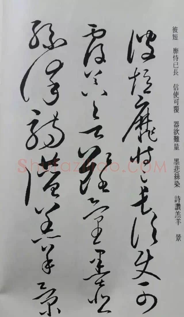 罕见的怀素草书《千字文》净云枝藏帖 | 软笔草书字帖