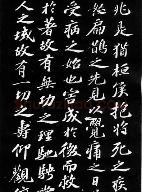 苏轼小楷欣赏《养生论》拓本 | 软笔书法作品