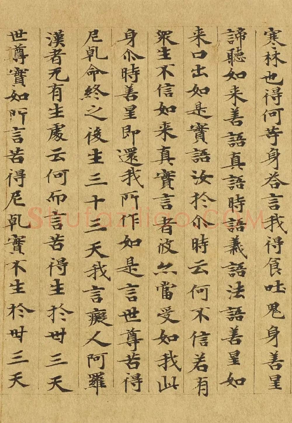楷书高清大图欣赏《大般涅槃经迦叶菩萨品第十二》 | 敦煌写经欣赏