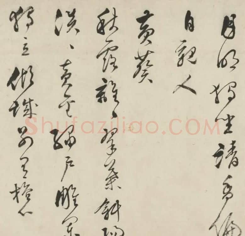 明代文彭75岁草书杂花诗十六首 | 书法长卷