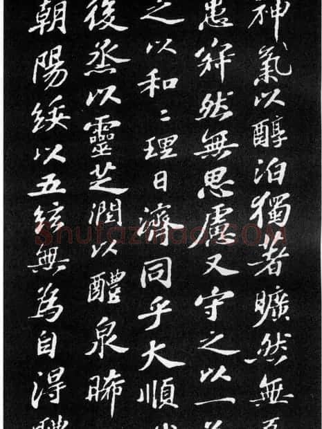 苏轼小楷欣赏《养生论》拓本 | 软笔书法作品