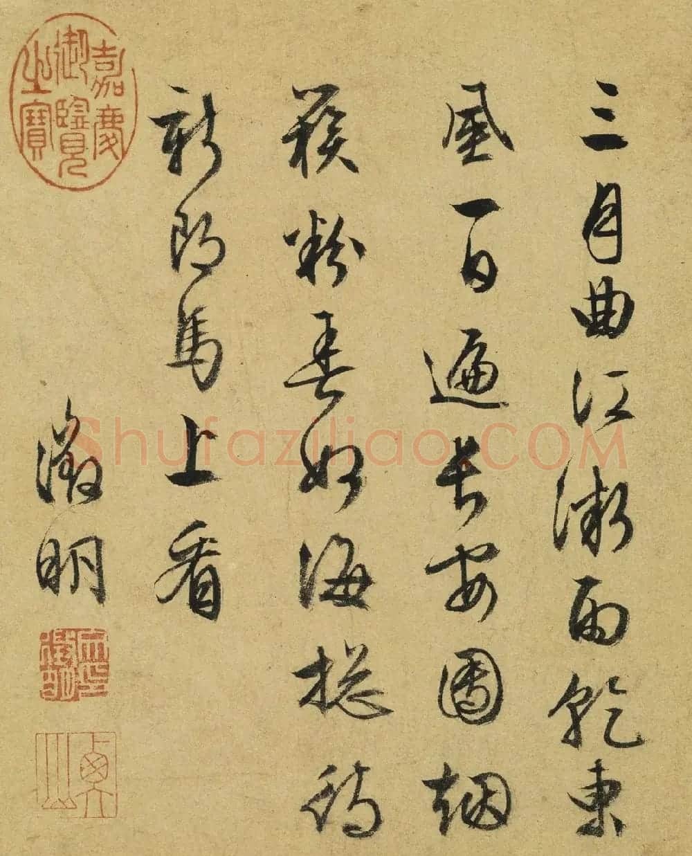 文徵明草书题陆治写生册 | 传世书法作品赏析