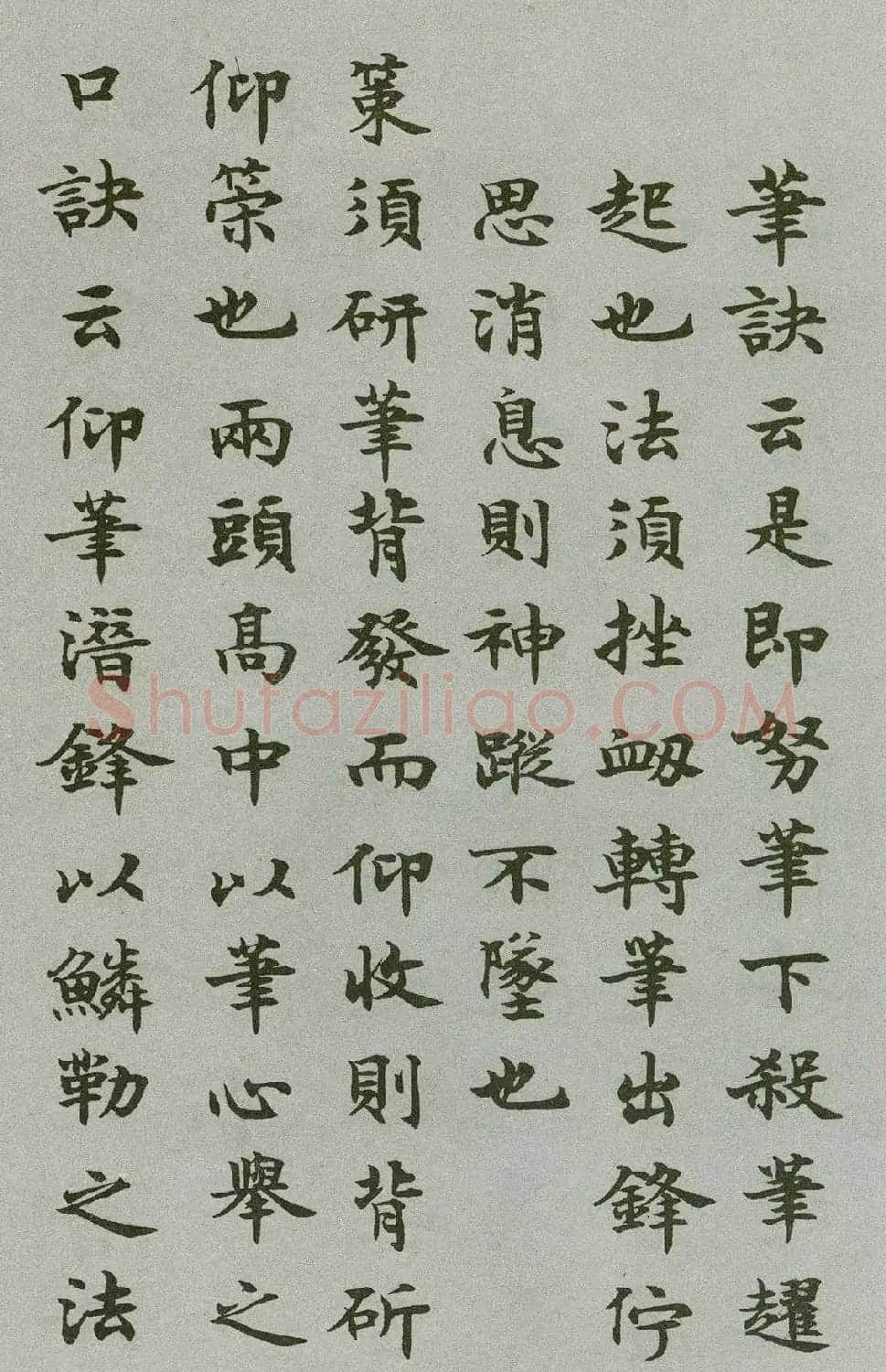 沈尹默楷书《禁经永字八法》 | 软笔楷书字帖