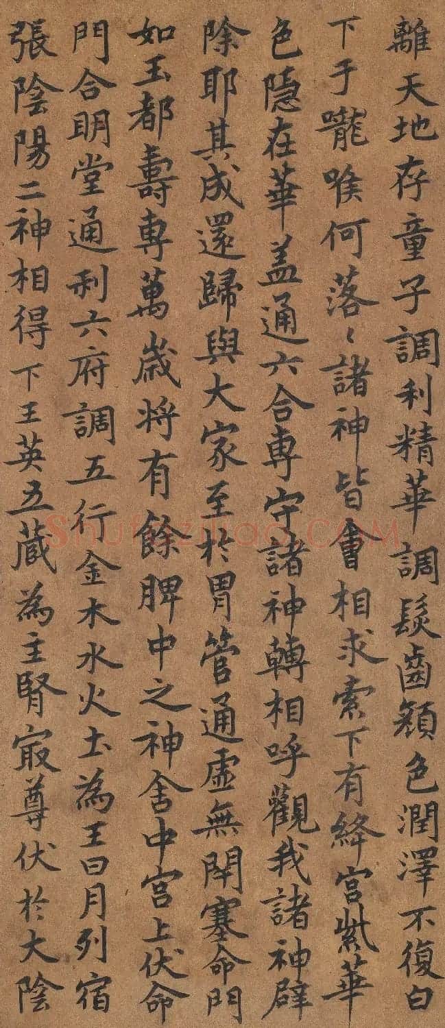 唐人楷书《黄庭经》附董其昌题跋 | 书法长卷