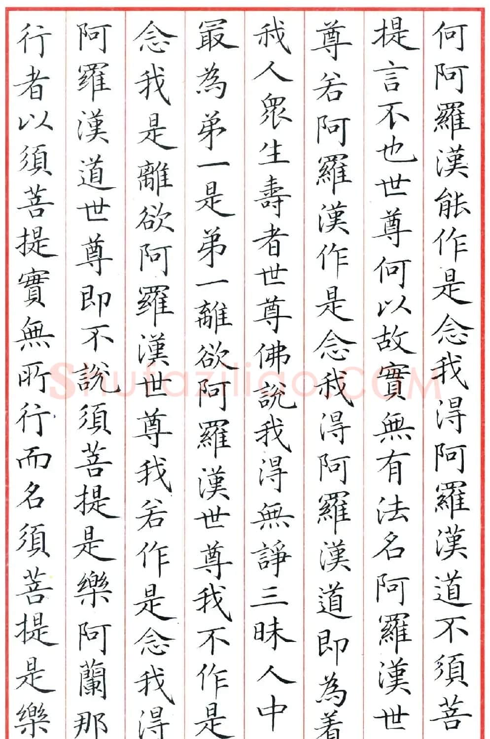梁林小楷书法《金刚经三十二品》 | 书法作品鉴赏