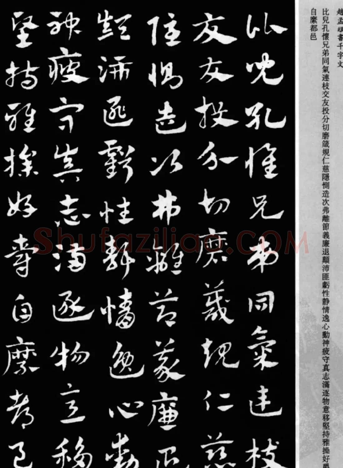 赵孟頫书法章草千字文(附释文)图片17P | 软笔草书字帖