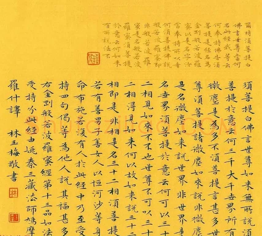 漳州市女书法家林玉梅小楷金刚经 | 书法作品赏析