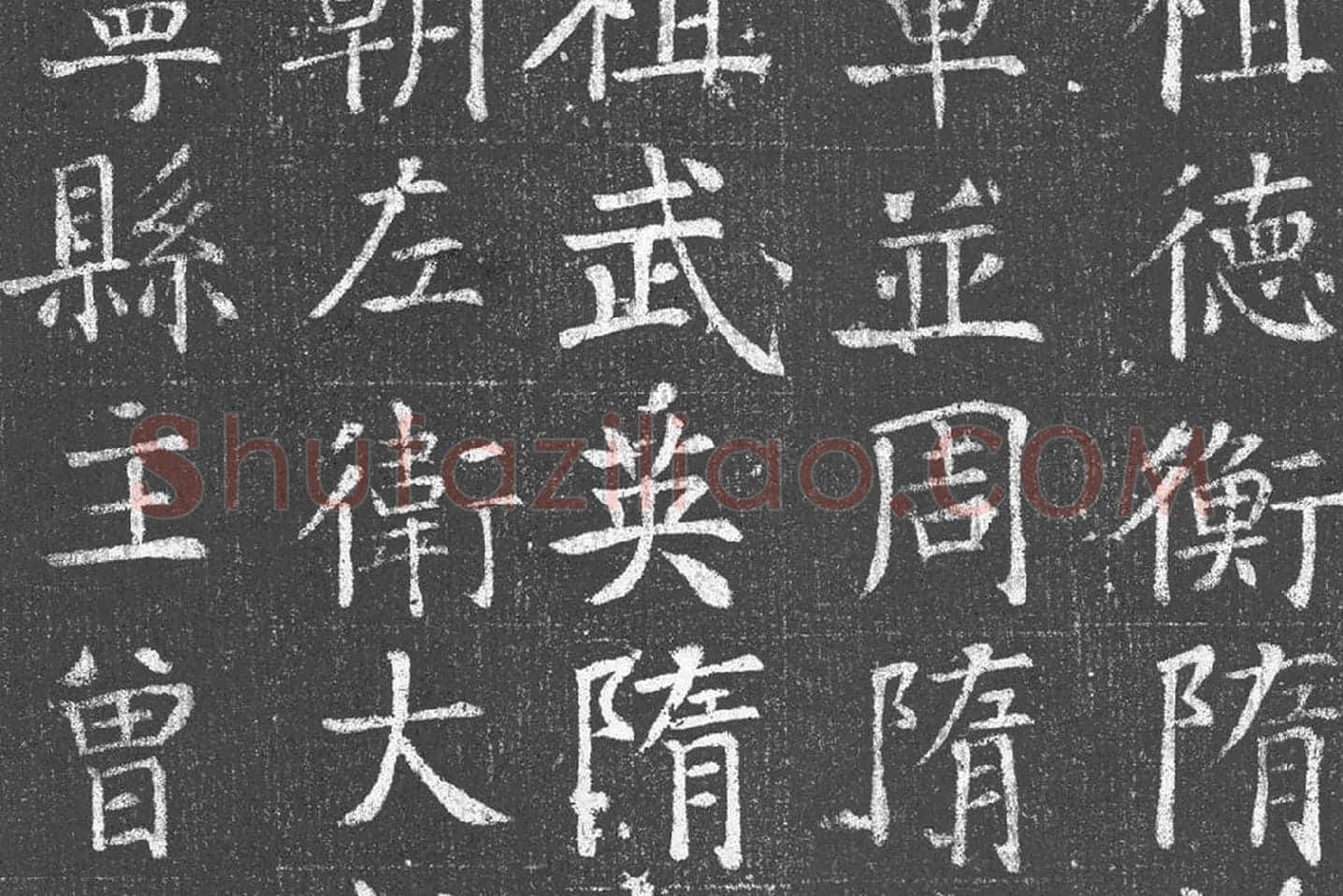 颜真卿青年时期楷书《王琳墓志》局部 (2)