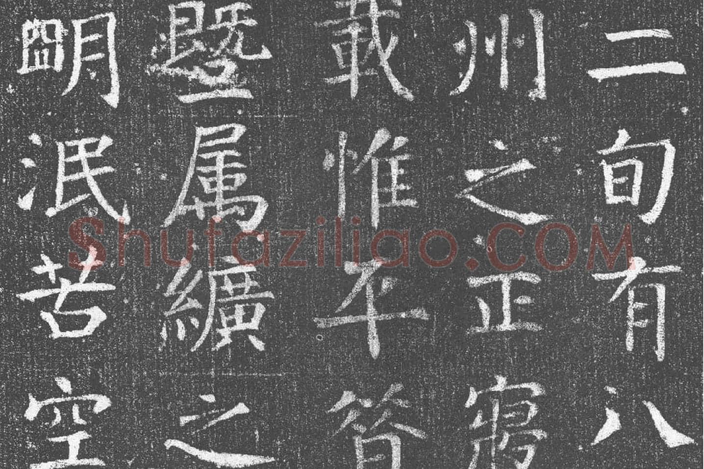颜真卿青年时期楷书《王琳墓志》局部 (4)