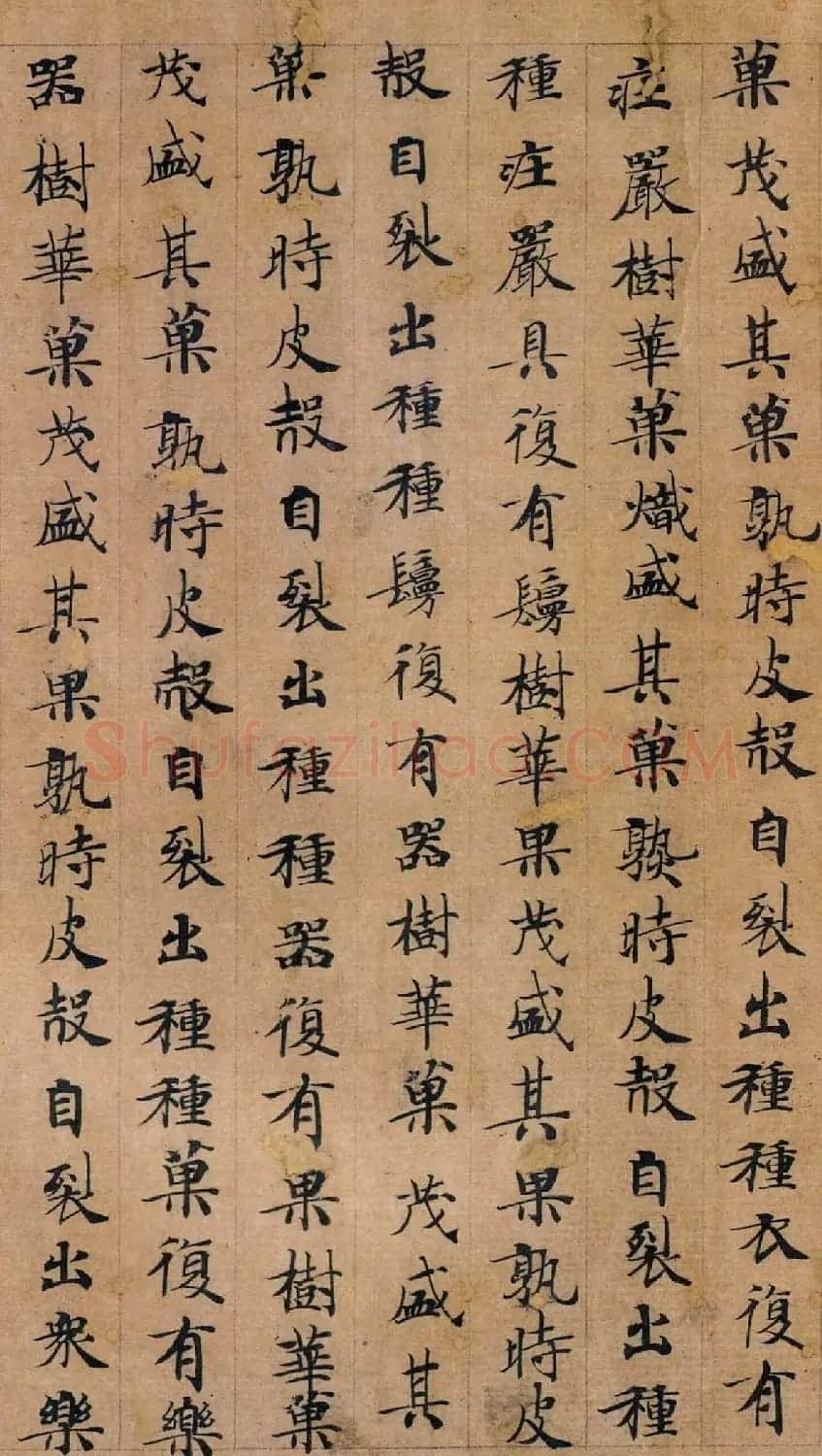 唐代钟绍京楷书墨迹《转轮圣王经》 | 书法碑帖