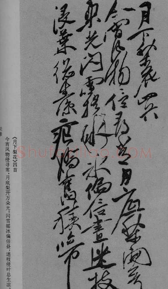 徐渭草书作品《月下梨花》 | 名家书法作品精选