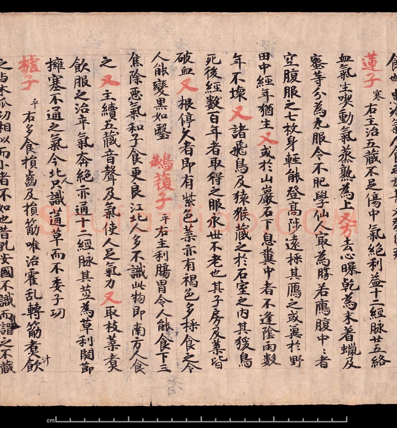 敦煌书法敦煌书法作品,摘自东晋至北宋食疗本草