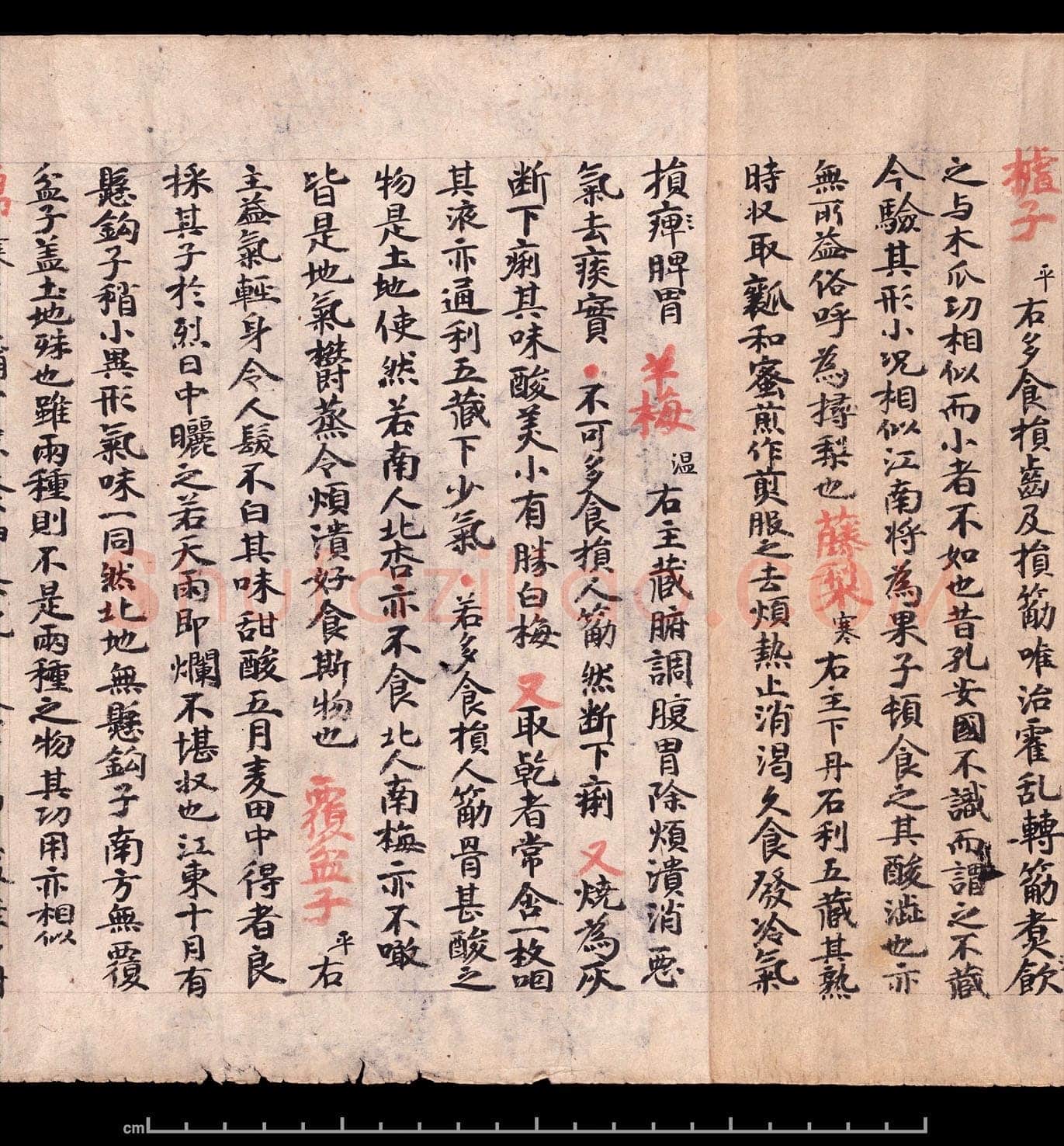 敦煌书法敦煌书法作品,摘自东晋至北宋食疗本草