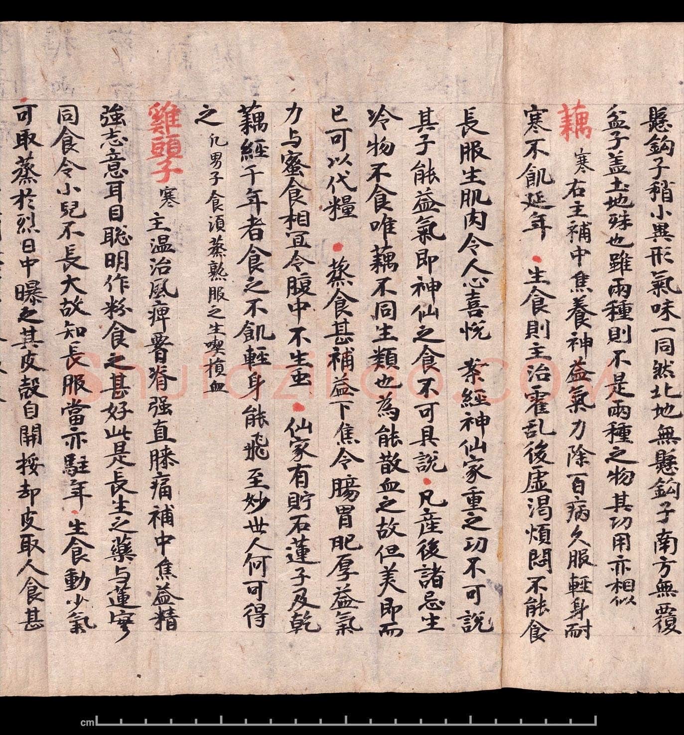 敦煌书法敦煌书法作品,摘自东晋至北宋食疗本草
