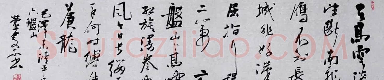 百位书法家书写毛泽东诗词作品横幅 | 书法名家作品鉴赏