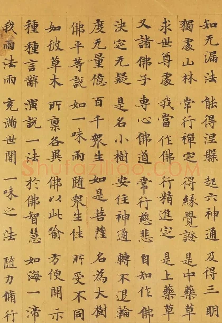 唐代赵文审小楷写经精品《妙法莲花经》 | 敦煌写经赏析