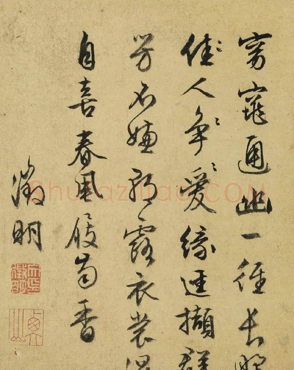 文徵明草书题陆治写生册 | 传世书法作品赏析