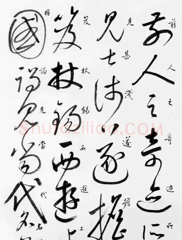 启功草书临唐怀素自叙帖 | 软笔草书字帖