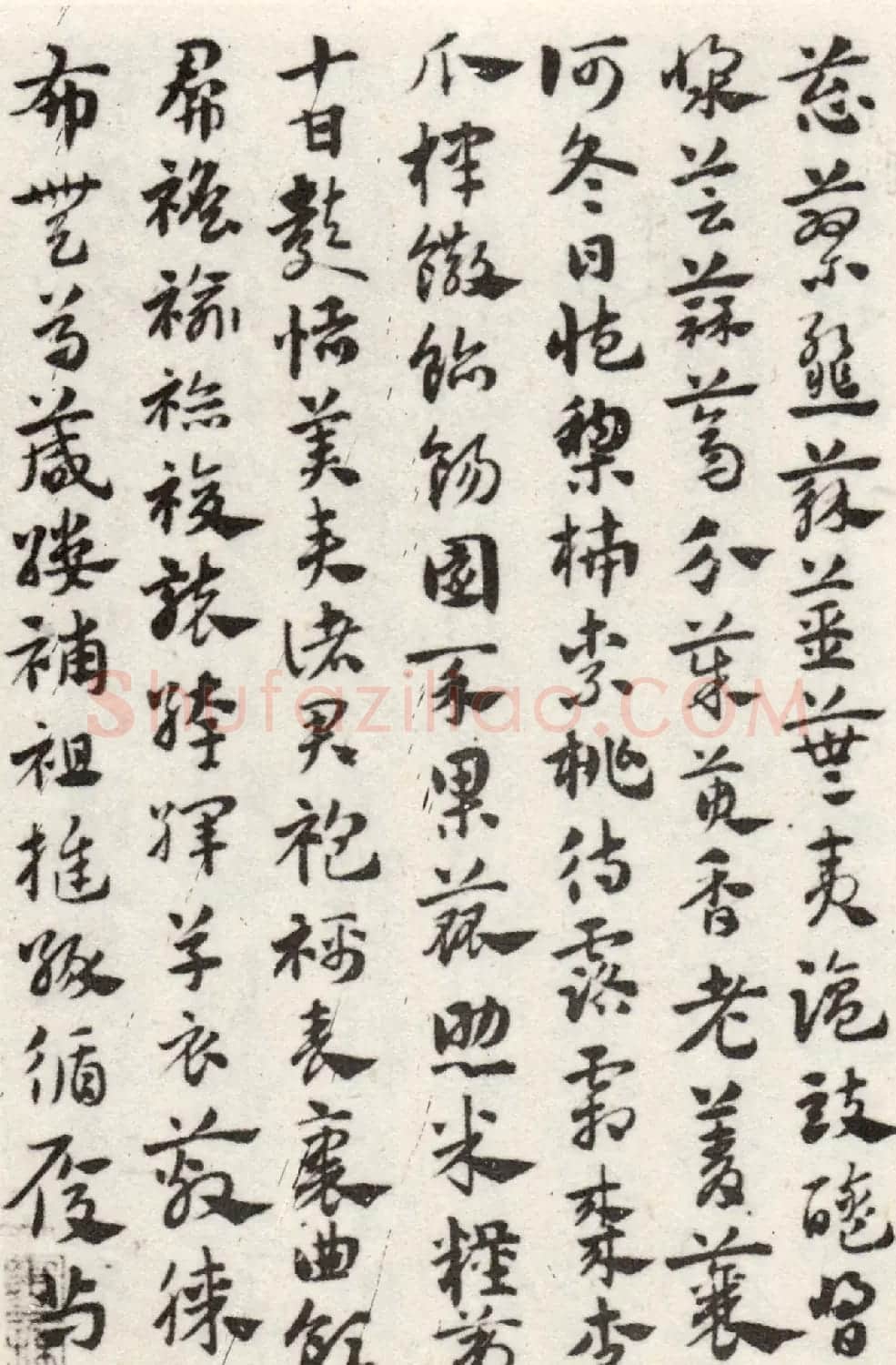 赵孟頫56岁章草《急就章》上海博物馆藏 | 书法名家作品鉴赏