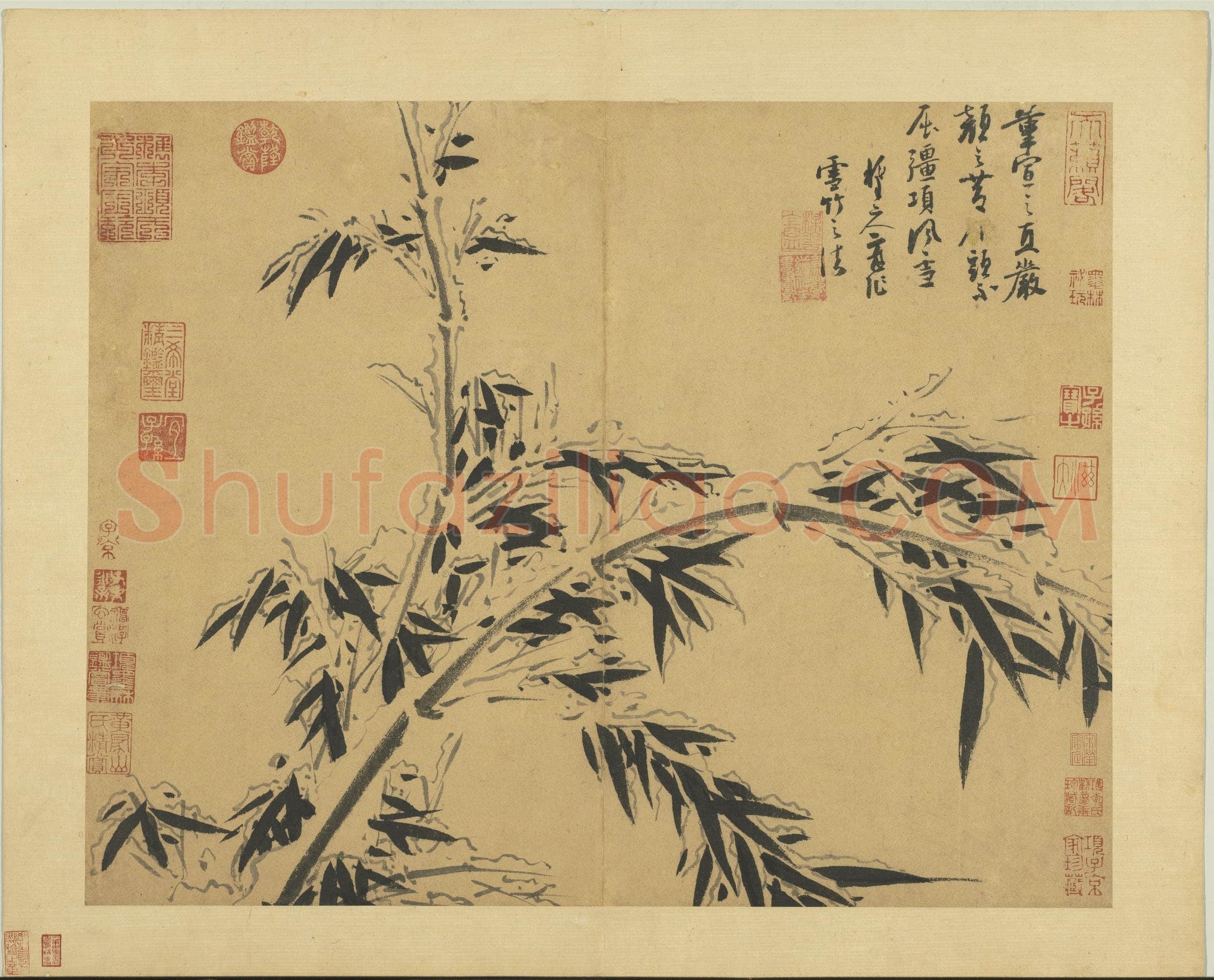 吴镇《墨竹谱》册 纸本 每页纵40.3厘米,横52厘米 二十二页 台北故宫博物院藏